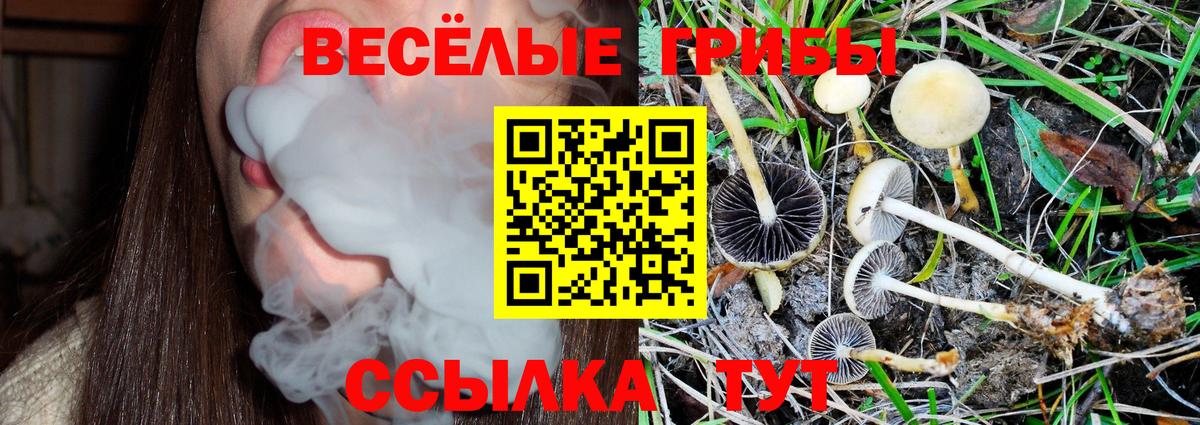 Галлюциногенные грибы мухоморы  Вход с VPN  Буйнакск  Псилоцибиновые грибы Psilocybine cubensis 